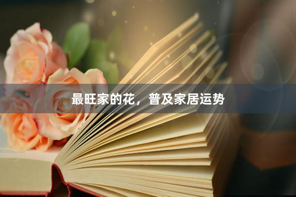 最旺家的花，普及家居运势